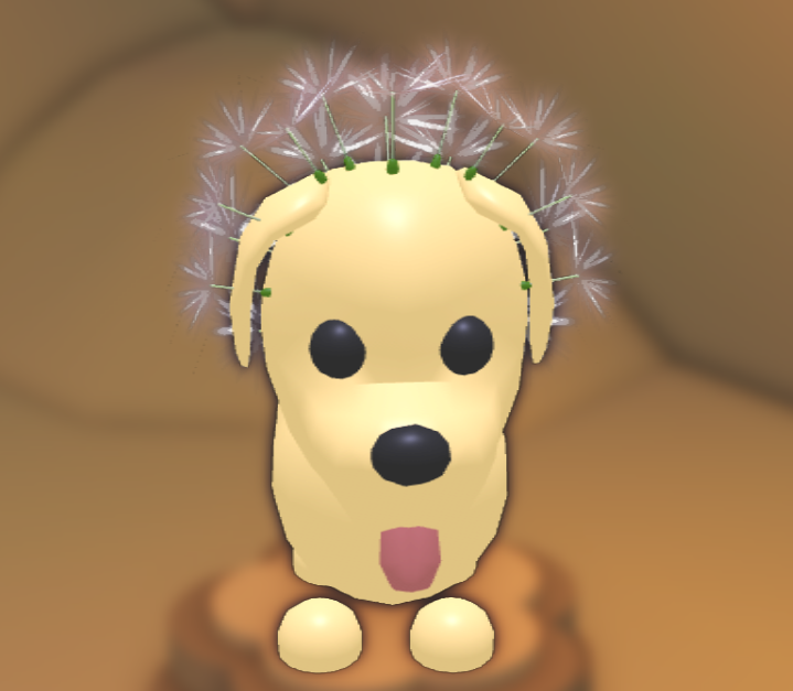 Dandelion Hat Adopt Me! Wiki Fandom