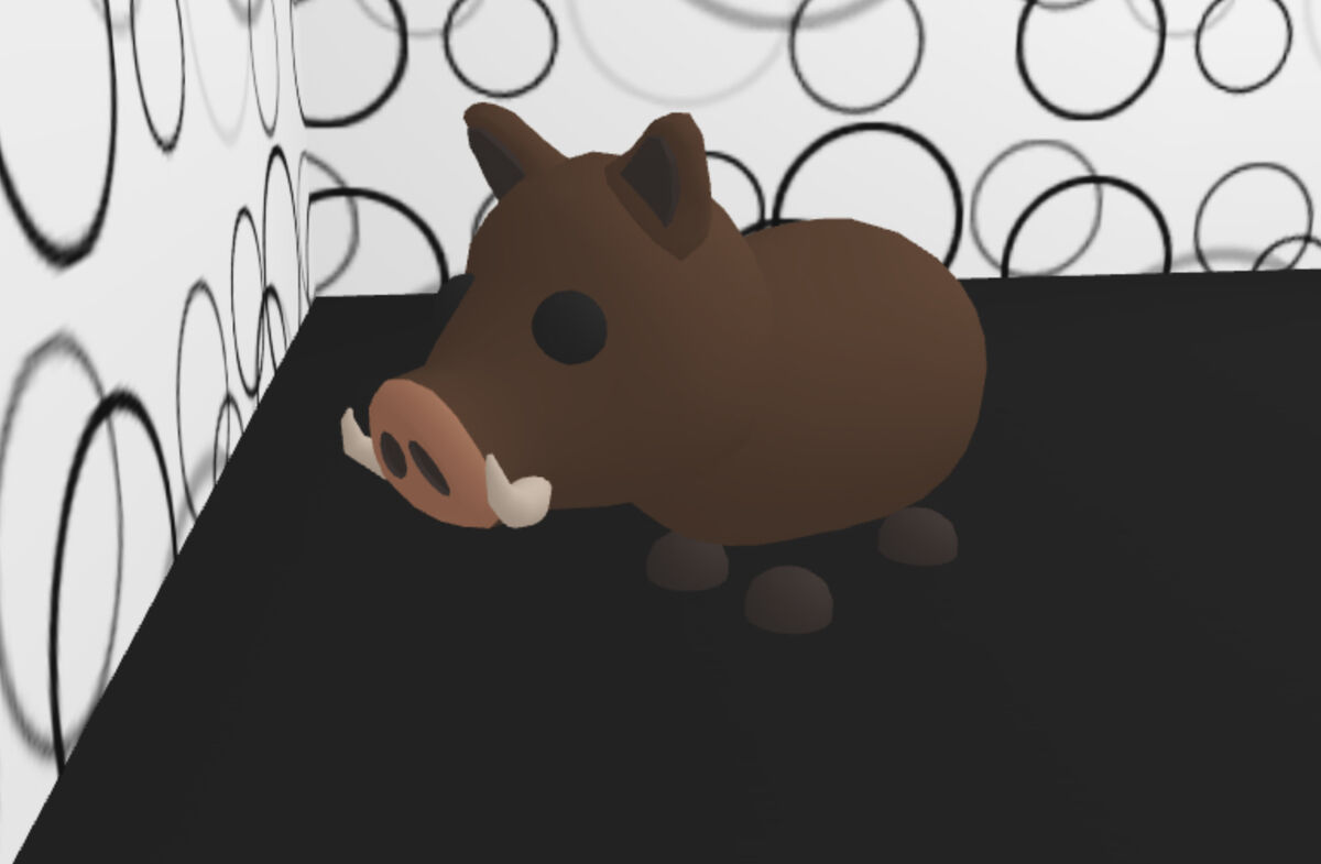 Wild boar! (Roblox adopt me pet) (egg:safari egg) can't get this pet  anymore ! For trade or buy for Sale in St. Cloud, FL - OfferUp