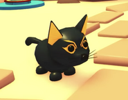 The Abyssinian Cat in-game