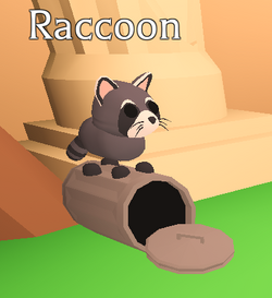 Raccoon, Adopt Me! Wiki