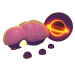 Singularity Beetle