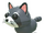 Mapache