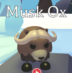 Musk Ox, Adopt Me! Wiki, Fandom