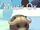 Musk Ox