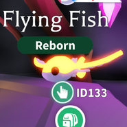 Neon Flying Fish (Common)