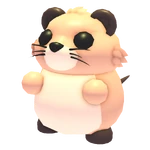 Muskrat