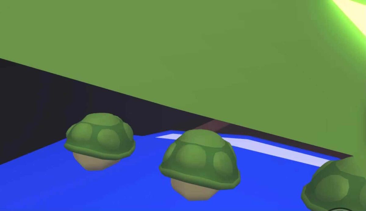 Turtle Adopt Me! Wiki Fandom
