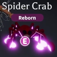 Neon Spider Crab (Ultra-Rare)