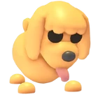 Toy Poodle