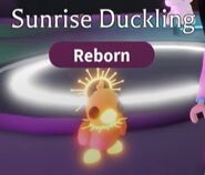 Neon Sunrise Duckling (Legendary)