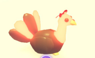 Un Pavo neón.
