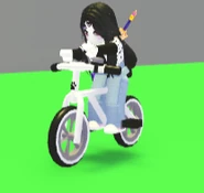Bicycle in use.png (565 KB) A player riding the Bicycle.