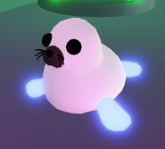 Harp Seal | Adopt Me! Wiki | Fandom