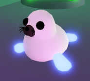 Neon Harp Seal (Uncommon)