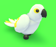 White Amazon | Adopt Me! Wiki | Fandom