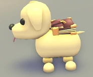 The Briefcase on a Dog.