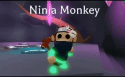 Ninja Monkey Adopt Me Wiki Fandom