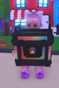 Player Holding RGB Reward Box