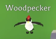 Woodpecker teaser.png (92 KB) A teaser image of the Woodpecker.