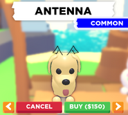 Antenna on a Dog