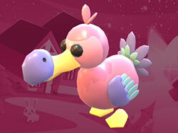 Dodo Adopt Me Wiki Fandom - dodo bird in roblox