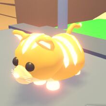 ginger cat roblox adopt me