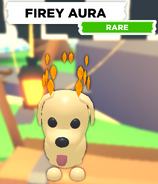 The Firey Aura as seen on a Dog.