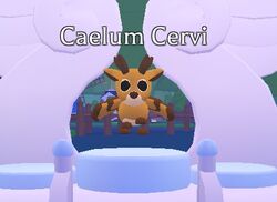 Caelum Cervi, Adopt Me! Wiki