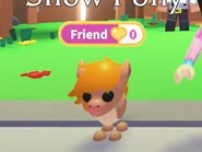 The Show Pony in-game.