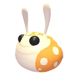 Hopbop