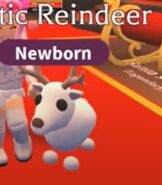 The Arctic Reindeer in-game.