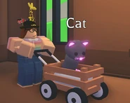 A Neon Cat in a Crate Stroller.