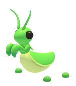 Praying Mantis (Pet)