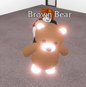 Neon Brown Bear