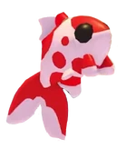 Koi Carp