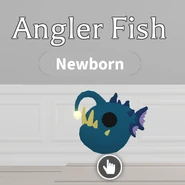 The Angler Fish in-game..png (84 KB) The Angler Fish in-game.
