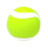 The Tennis Ball in a player's inventory.