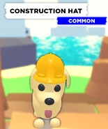 The Construction Hat on a Dog.
