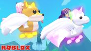Flying Pets