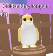 The teaser image of the Golden King Penguin.