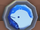 Beluga Badge