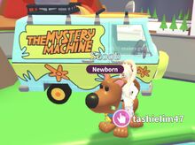 Scoob and The Mystery Machine