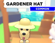 The Gardener Hat on a Dog.