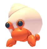 Hermit Crab