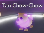 Mega Neon Tan Chow-Chow (Ultra-Rare)