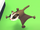 Sugar Glider