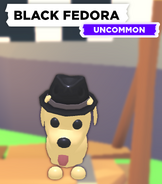 The Black Fedora as seen on a Dog.