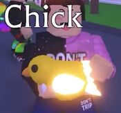 Neon Chick