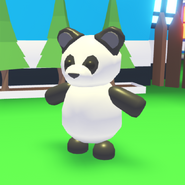 Panda In-game
