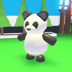 Panda Adopt Me Wiki Fandom - team panda roblox website